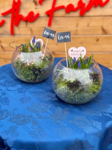 Fishbowl spring planter