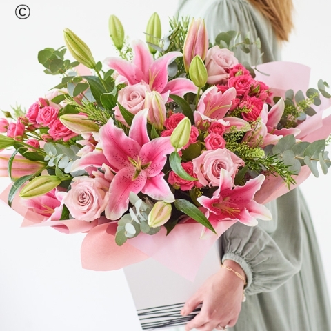 The Lily Rose Romance
