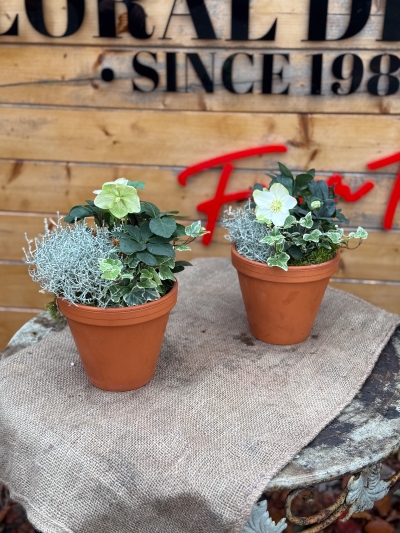 flower-bouquet-instagram-delivery-manchester-oldham