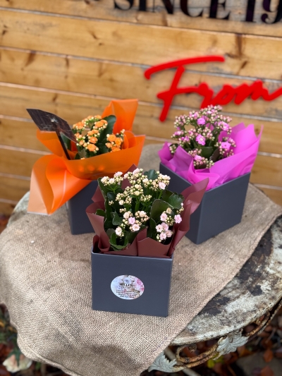 flower-bouquet-instagram-delivery-manchester-oldham