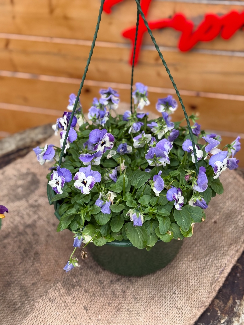 flower-bouquet-instagram-delivery-manchester-oldham