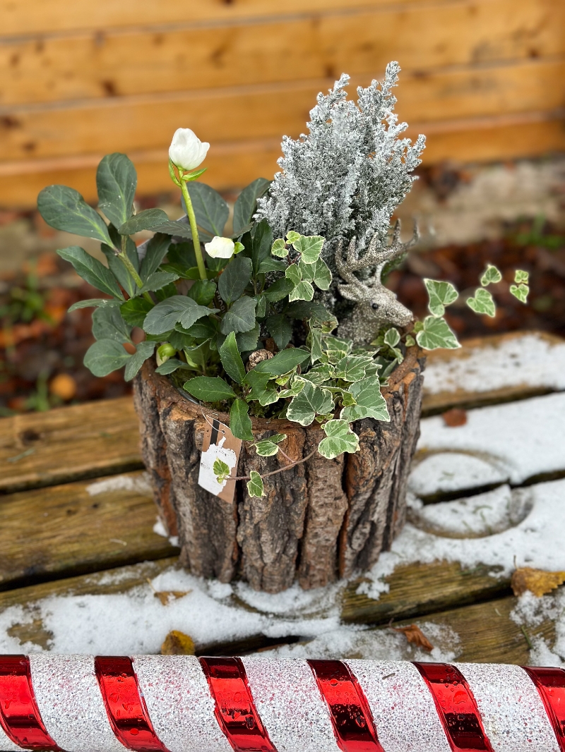 christmas-flower-bouquet-manchester-delivery-oldham