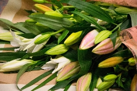 Millers Lily Bouquet