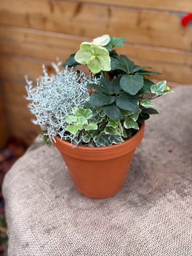 flower-bouquet-instagram-delivery-manchester-oldham