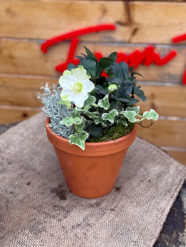 flower-bouquet-instagram-delivery-manchester-oldham