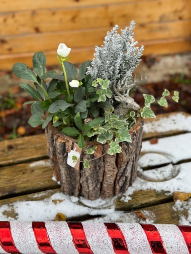 christmas-flower-bouquet-manchester-delivery-oldham