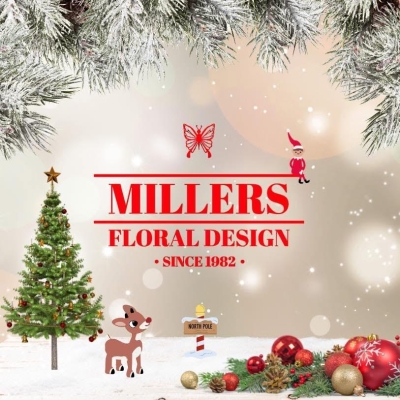 LIMITED SPOTS FOR CHRISTMAS!!! ORDER NICE AND EARLY!!