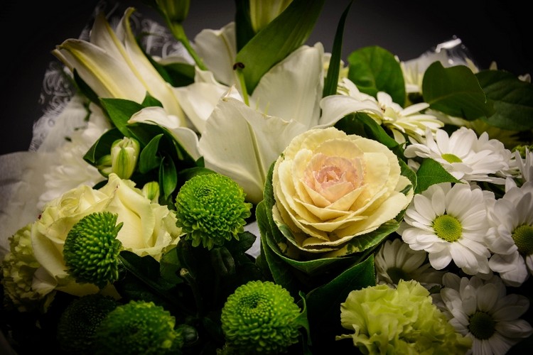 All White perfection