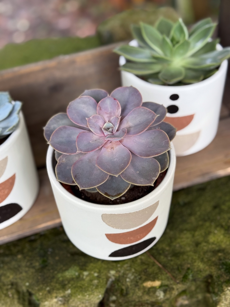 flower-bouquet-instagram-delivery-manchester-oldham