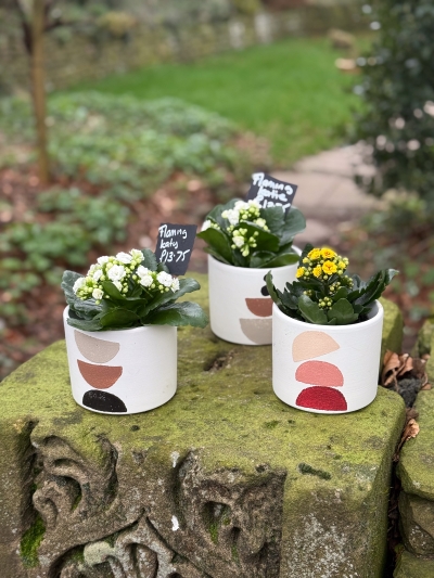 flower-bouquet-instagram-delivery-manchester-oldham-luxury-gift-present