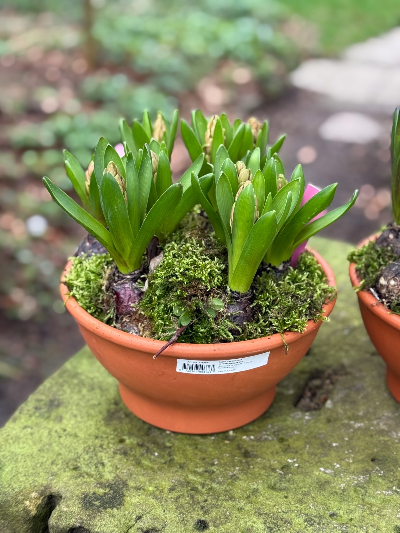 flower-bouquet-instagram-delivery-manchester-oldham-candles