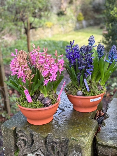 flower-bouquet-instagram-delivery-manchester-oldham-luxury-gift-present