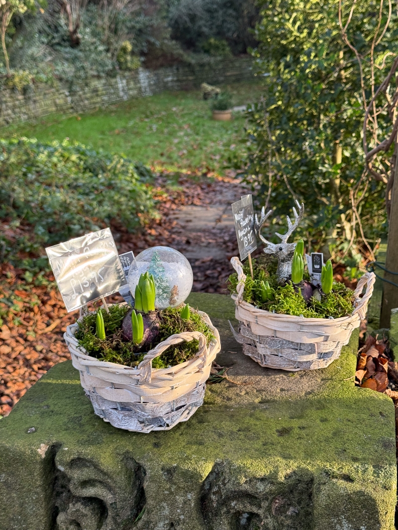 flower-bouquet-instagram-delivery-manchester-oldham