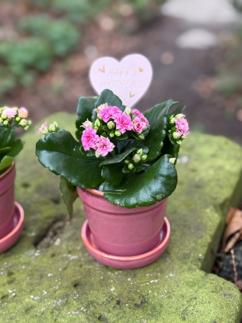 flower-bouquet-instagram-delivery-manchester-oldham-candles