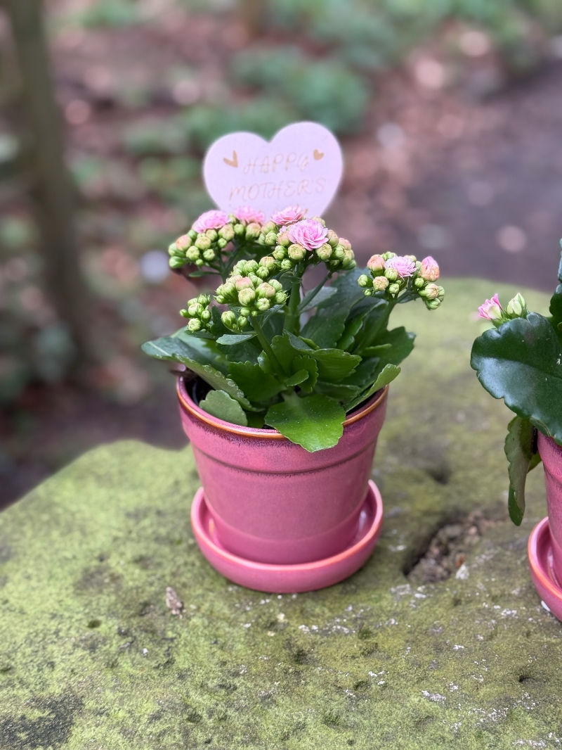 flower-bouquet-instagram-delivery-manchester-oldham-candles