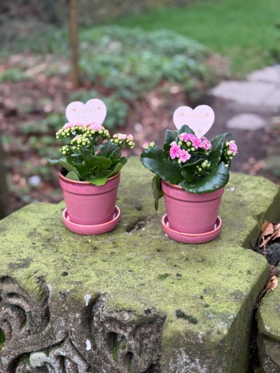 flower-bouquet-instagram-delivery-manchester-oldham-candles