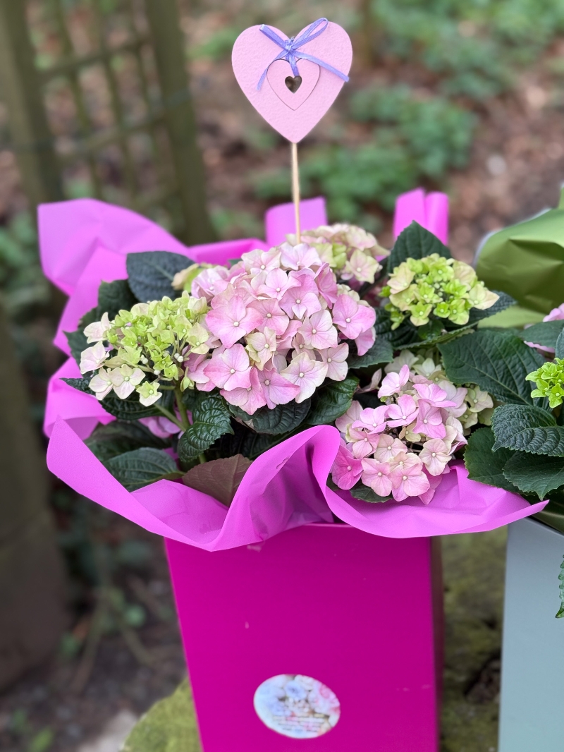 flower-bouquet-instagram-delivery-manchester-oldham-luxury-gift-present