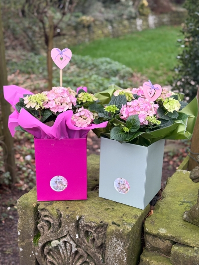 flower-bouquet-instagram-delivery-manchester-oldham-luxury-gift-present