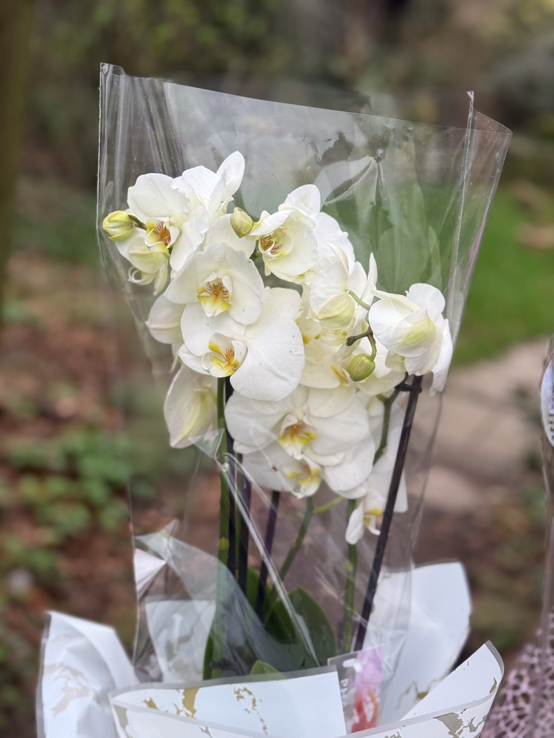 flower-bouquet-instagram-delivery-manchester-oldham-luxury-gift-present