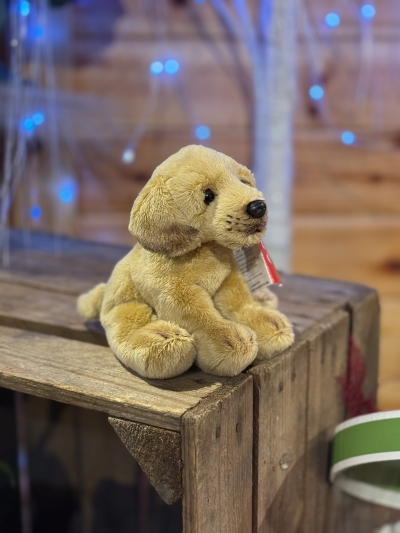 flower-bouquet-instagram-delivery-manchester-oldham-luxury-gift-present-valentinesday