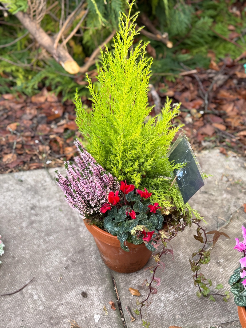 flower-bouquet-instagram-delivery-manchester-oldham