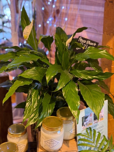 flower-bouquet-instagram-delivery-manchester-oldham-luxury-gift-present