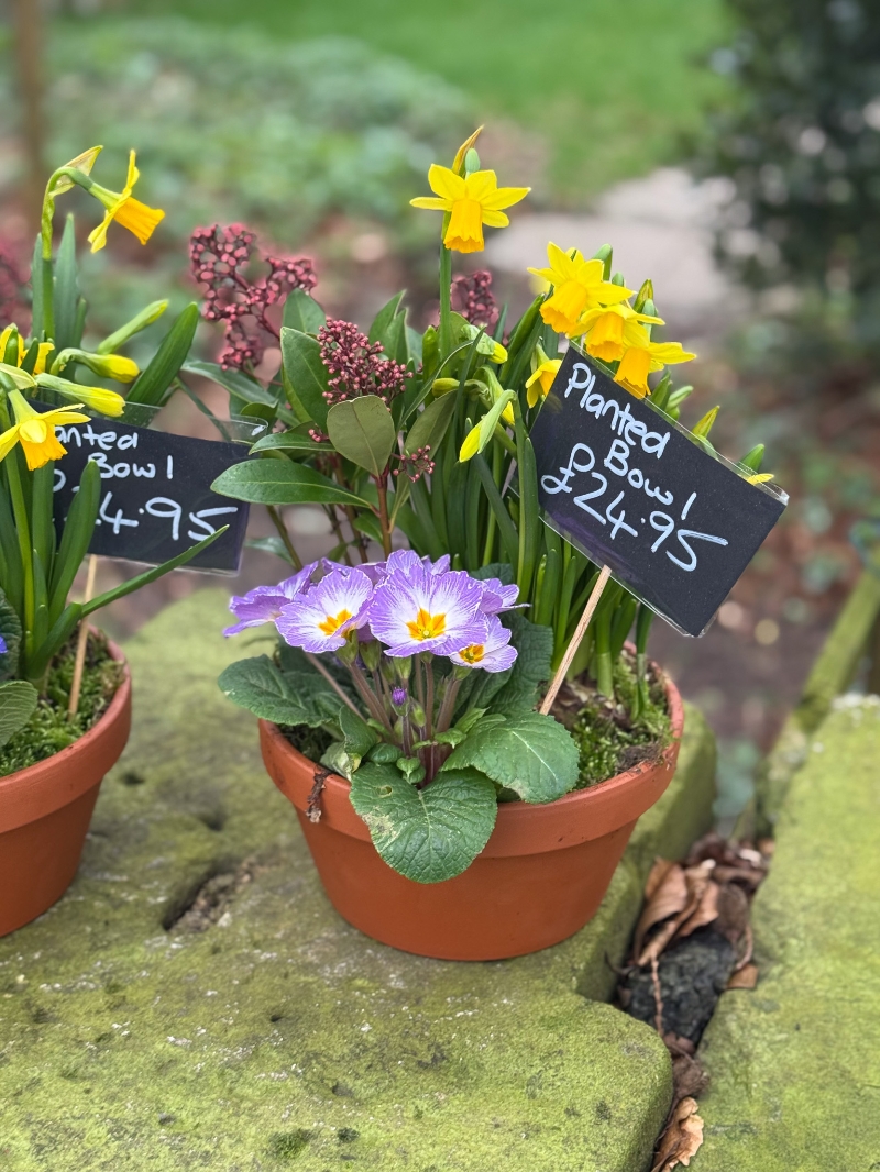 flower-bouquet-instagram-delivery-manchester-oldham-luxury-gift-present