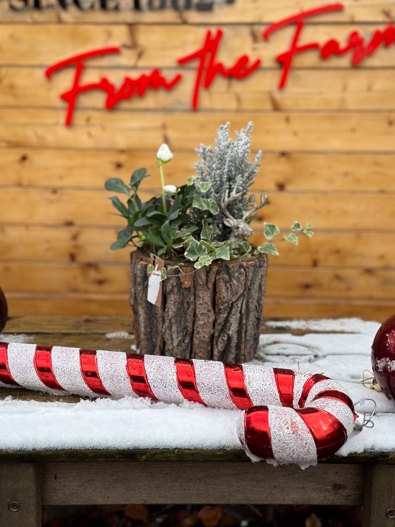 christmas-flower-bouquet-manchester-delivery-oldham