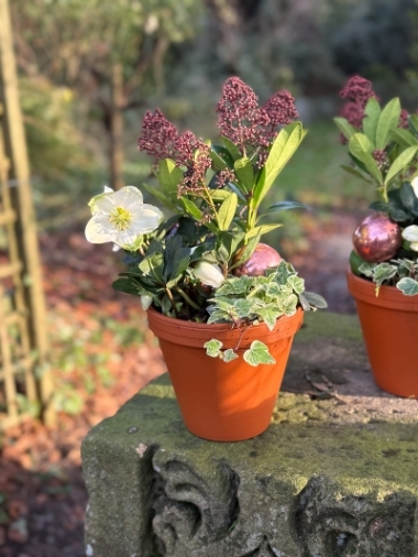 flower-bouquet-instagram-delivery-manchester-oldham