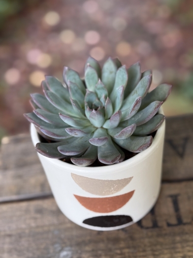 flower-bouquet-instagram-delivery-manchester-oldham