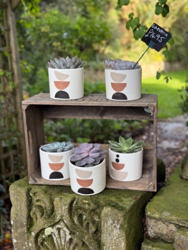 flower-bouquet-instagram-delivery-manchester-oldham