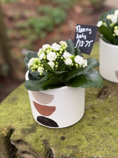 flower-bouquet-instagram-delivery-manchester-oldham-luxury-gift-present