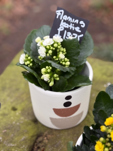 flower-bouquet-instagram-delivery-manchester-oldham-luxury-gift-present