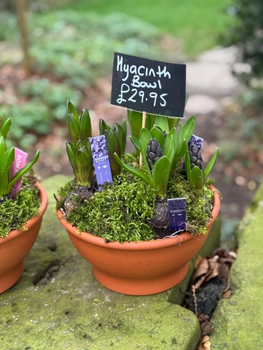 flower-bouquet-instagram-delivery-manchester-oldham-candles