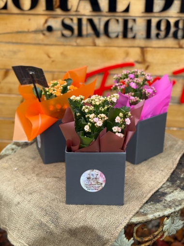flower-bouquet-instagram-delivery-manchester-oldham