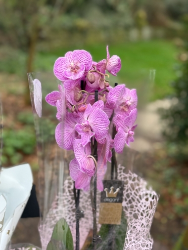 flower-bouquet-instagram-delivery-manchester-oldham-luxury-gift-present